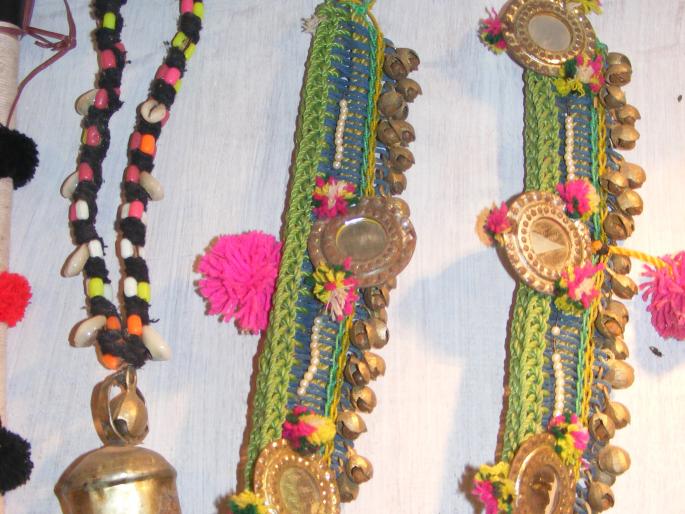 Drought conditions during the festive season | पोळा सणावर दुष्काळाचे सावट