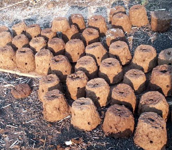 Holi preparation for Parbhani Holi; Cows cow's garry and color ..! | परभणीत होळीची तयारी; गायीच्या शेणाची गवरी अन् रंगही..! Holi preparation for Parbhani Holi; Cows cow's garry and color ..! | परभणीत होळीची तयारी; गायीच्या शेणाची गवरी अन् रंगही..!