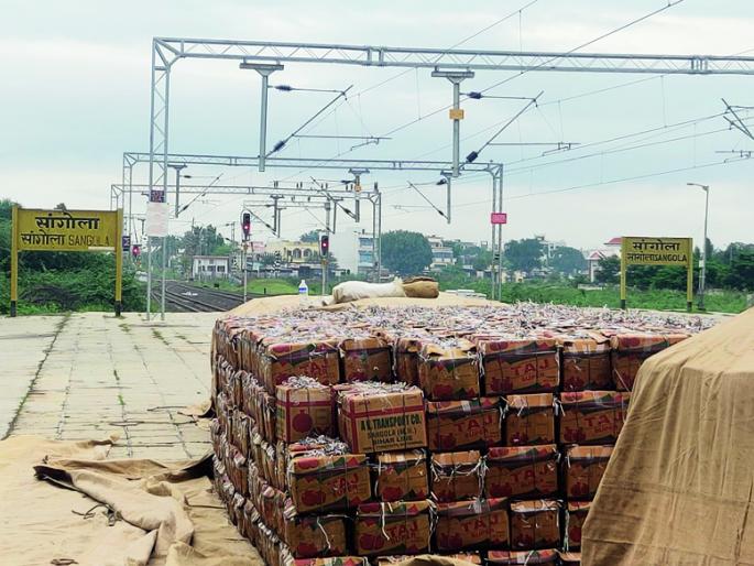 Solapuri Simla Chili cracked in hotels in Delhi and Bihar | दिल्ली अन् बिहारच्या हॉटेल्समध्ये तडतडली सोलापुरी सिमला मिरची Solapuri Simla Chili cracked in hotels in Delhi and Bihar | दिल्ली अन् बिहारच्या हॉटेल्समध्ये तडतडली सोलापुरी सिमला मिरची