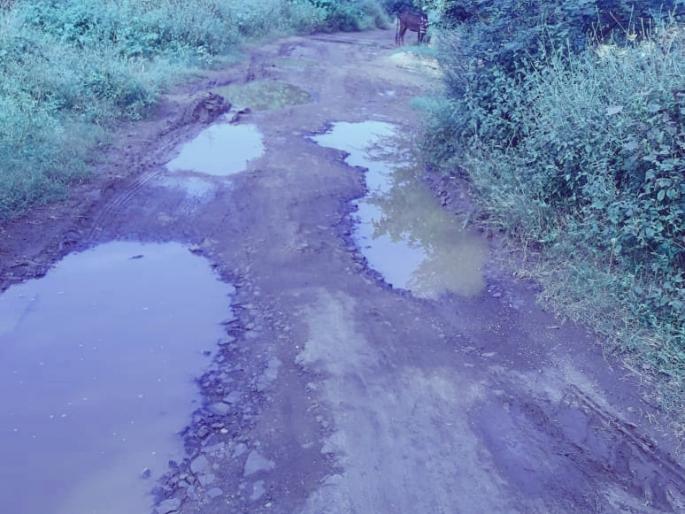 Jaulke-mukhed fork road was paved | जऊळके-मुखेड फाटा रस्ताची झाली चाळण Jaulke-mukhed fork road was paved | जऊळके-मुखेड फाटा रस्ताची झाली चाळण
