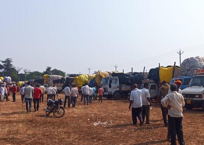 Counting of 19,000 quintals of cotton in seven days in Chalisgaon | चाळीसगावला सात दिवसात १९ हजार क्विंटल कपाशीची मोजणी Counting of 19,000 quintals of cotton in seven days in Chalisgaon | चाळीसगावला सात दिवसात १९ हजार क्विंटल कपाशीची मोजणी