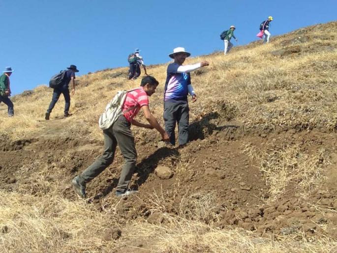 Seedling by Malhar Trekkers | विश्रामगडावर मल्हार ट्रेकर्सकडून बीजारोपण Seedling by Malhar Trekkers | विश्रामगडावर मल्हार ट्रेकर्सकडून बीजारोपण