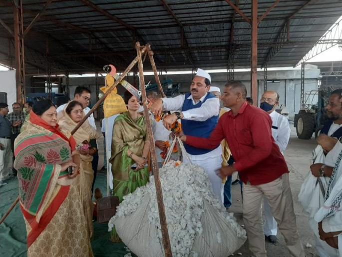Measurement for purchase of cotton in three ginnings in Amalner taluka | अमळनेर तालुक्यात तीन जिनिंगमध्ये कापूस खरेदीसाठी मोजमाप Measurement for purchase of cotton in three ginnings in Amalner taluka | अमळनेर तालुक्यात तीन जिनिंगमध्ये कापूस खरेदीसाठी मोजमाप