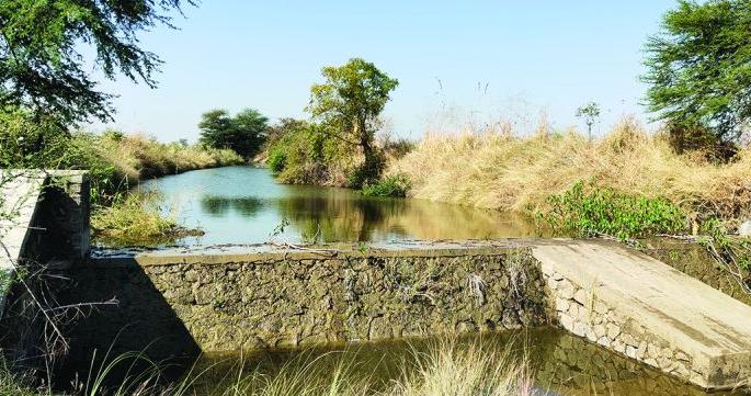Farmer builds dam on nala at his own expense! | शेतकऱ्याने स्वखर्चाने बांधला नाल्यावर बंधारा! Farmer builds dam on nala at his own expense! | शेतकऱ्याने स्वखर्चाने बांधला नाल्यावर बंधारा!