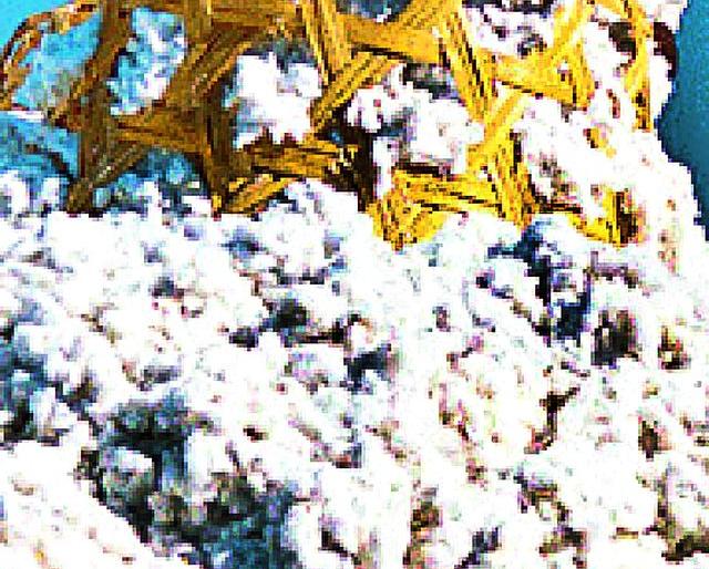 Cotton slowdown; Farmer concerned | कापूस भावावर मंदीचे सावट; शेतकरी चिंतित Cotton slowdown; Farmer concerned | कापूस भावावर मंदीचे सावट; शेतकरी चिंतित