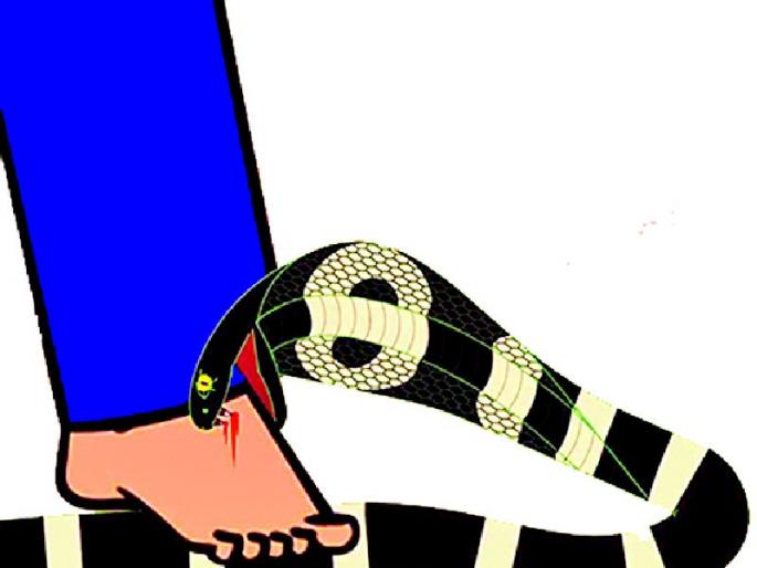 Farmers, be careful, take care | शेतकऱ्यांनो सावधान, जरा जपून टाका पावलं Farmers, be careful, take care | शेतकऱ्यांनो सावधान, जरा जपून टाका पावलं