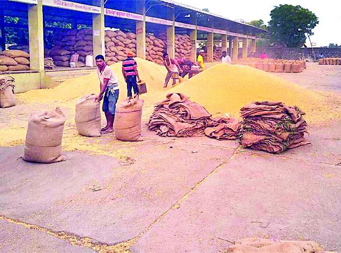 Cotton prices remained stable at 5800 | कापसाचा भाव ५८०० वरच स्थिरावला