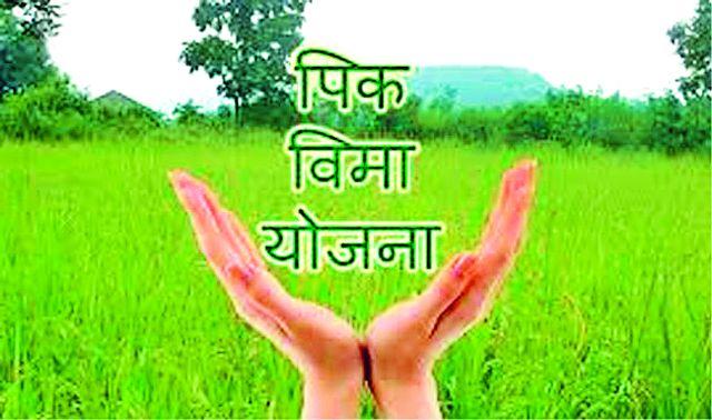Insurance cover for 1,100 farmers | १,१०० शेतकऱ्यांना विम्याचे कवच Insurance cover for 1,100 farmers | १,१०० शेतकऱ्यांना विम्याचे कवच