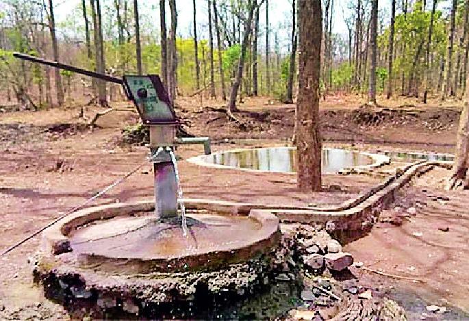 150 thirsty wild animals in Panchavatas | १५० पाणवठे भागवताहेत वन्यप्राण्यांची तहान 150 thirsty wild animals in Panchavatas | १५० पाणवठे भागवताहेत वन्यप्राण्यांची तहान