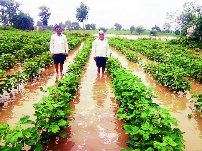 Backwater of the dam caused water to enter the field | बंधाऱ्याच्या बॅक वॉटरमुळे शेतात शिरले पाणी Backwater of the dam caused water to enter the field | बंधाऱ्याच्या बॅक वॉटरमुळे शेतात शिरले पाणी