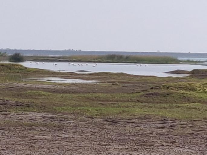 Eclipse of evaporation of water for very low water, water and arrow in Satara district | अत्यल्प पाणीसाठ्याला बाष्पीभवनाचे ग्रहण, सातारा जिल्ह्यात पाणी-बाणी Eclipse of evaporation of water for very low water, water and arrow in Satara district | अत्यल्प पाणीसाठ्याला बाष्पीभवनाचे ग्रहण, सातारा जिल्ह्यात पाणी-बाणी