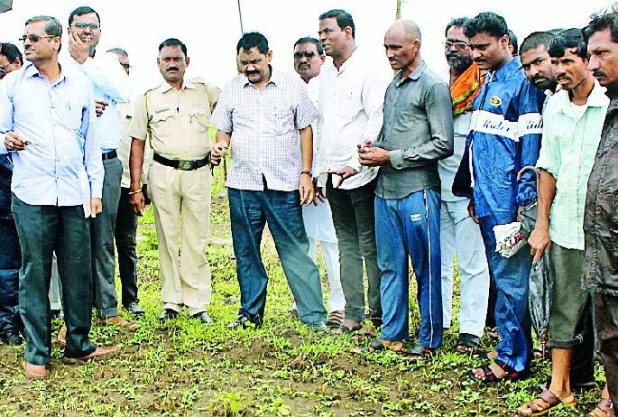 Immediately survey the growing crops in the absence of rain | पावसाअभावी होरपळलेल्या पिकांचा तात्काळ सर्वे करा