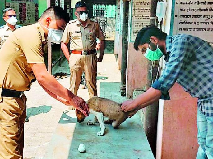 Police rush to the injured dog | जखमी कुत्र्यासाठी धावून आले पोलीस Police rush to the injured dog | जखमी कुत्र्यासाठी धावून आले पोलीस