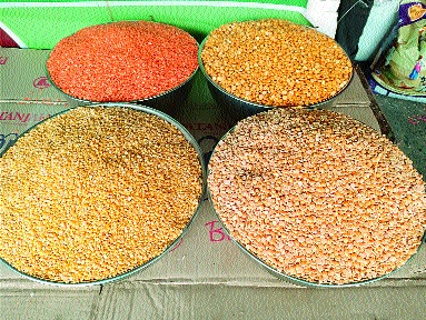 'That' the price of pulses turned down | ‘त्या’ तुरीने उतरले डाळींचे भाव 'That' the price of pulses turned down | ‘त्या’ तुरीने उतरले डाळींचे भाव