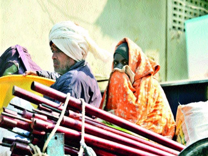  In the city area, there was a ruckus | शहर परिसरातथंडीचा कडाका कायम