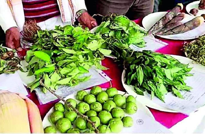 Rare vegetables available .. tasty and healthy | आल्या दुर्मिळ रानभाज्या.. चविष्ट आणि हेल्दी 