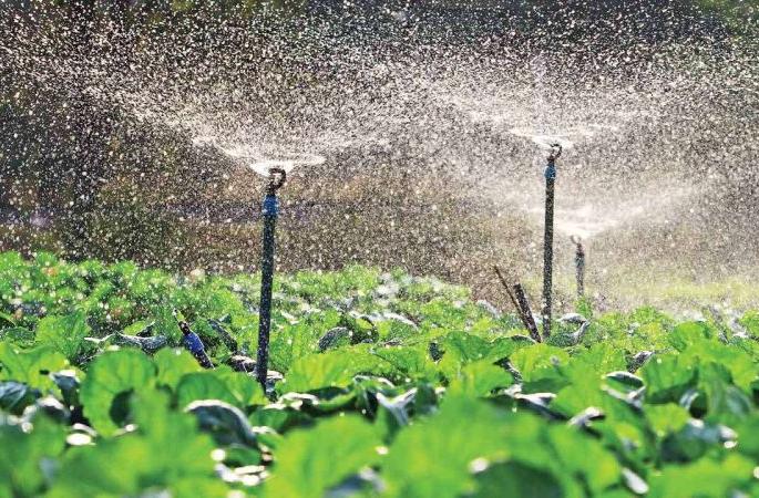 Agricultural irrigation in the dark of night, strange schedule of farmers' irrigation | रात्रीच्या काळोखात कृषी सिंचन, शेतकऱ्यांच्या सिंचनाचे अजब वेळापत्रक Agricultural irrigation in the dark of night, strange schedule of farmers' irrigation | रात्रीच्या काळोखात कृषी सिंचन, शेतकऱ्यांच्या सिंचनाचे अजब वेळापत्रक