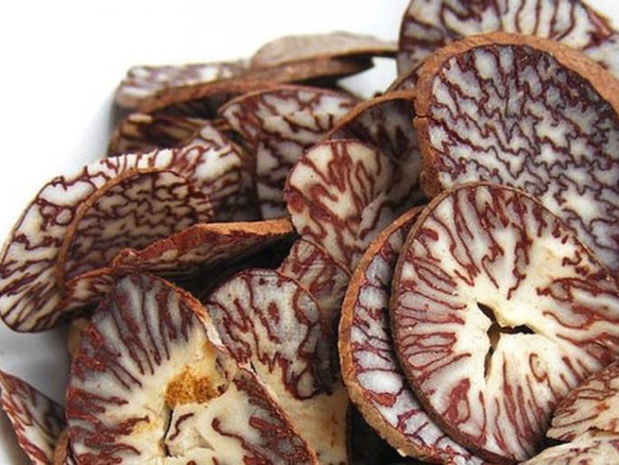  Nagpur is becoming Cancer Capital | नागपूर बनत आहे कॅन्सर कॅपिटल