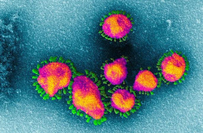 Another positive in Nagpur; Total Score | Corona Virus in Nagpur; नागपुरात अजून एकजण पॉझिटिव्ह; एकूण आकडा १० Another positive in Nagpur; Total Score | Corona Virus in Nagpur; नागपुरात अजून एकजण पॉझिटिव्ह; एकूण आकडा १०