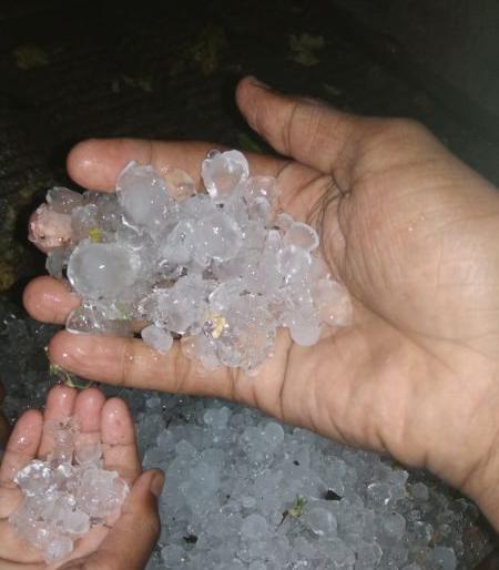Hailstorms with heavy rainfall in Yavatmal district | यवतमाळ जिल्ह्यात वादळी पावसासह गारांचा वर्षाव Hailstorms with heavy rainfall in Yavatmal district | यवतमाळ जिल्ह्यात वादळी पावसासह गारांचा वर्षाव