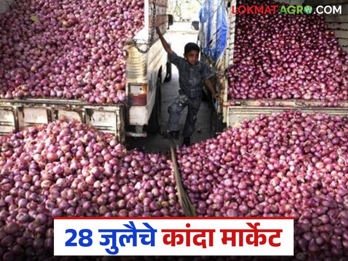 Latest news kanda market Lasalgaon onion market drops by Rs 176 in week, read today's prices | Kanda Market : लासलगाव कांदा मार्केटमध्ये आठवडाभरात 176 रुपयांची घसरण, वाचा आजचे दर Latest news kanda market Lasalgaon onion market drops by Rs 176 in week, read today's prices | Kanda Market : लासलगाव कांदा मार्केटमध्ये आठवडाभरात 176 रुपयांची घसरण, वाचा आजचे दर