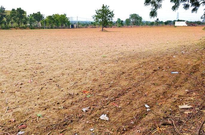 Crisis against farmers in Nagpur district | धूळ पेरणी फसल्याने नागपूर जिल्ह्यातील शेतकऱ्यांपुढे संकट