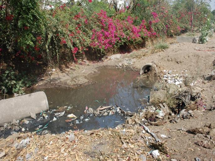 Industrialists suffer because of sewage in the industrial area | औद्योगिक क्षेत्रात सांडपाण्यामुळे उद्योजक त्रस्त Industrialists suffer because of sewage in the industrial area | औद्योगिक क्षेत्रात सांडपाण्यामुळे उद्योजक त्रस्त