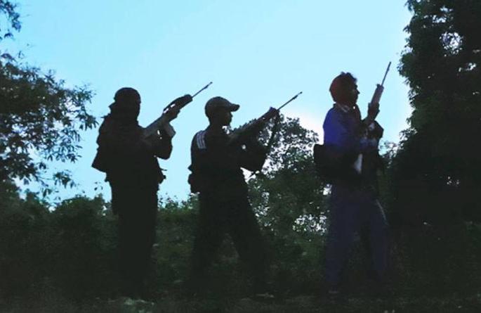 Gadchiroli clashes between police and Maoists; One Naxalite killed | गडचिरोलीत पोलीस व नक्षलवाद्यांत चकमक; एक महिला नक्षली ठार