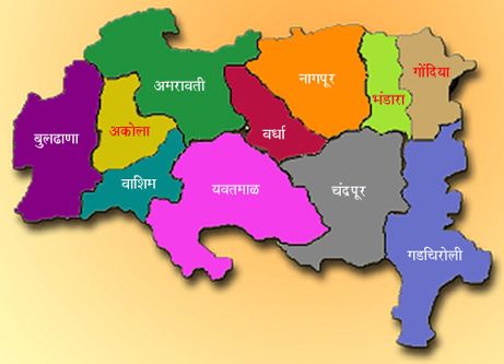 Vidarbha activists dissatisfied with the government's performance | सरकारच्या कामगिरीवर विदर्भवादी असमाधानी Vidarbha activists dissatisfied with the government's performance | सरकारच्या कामगिरीवर विदर्भवादी असमाधानी