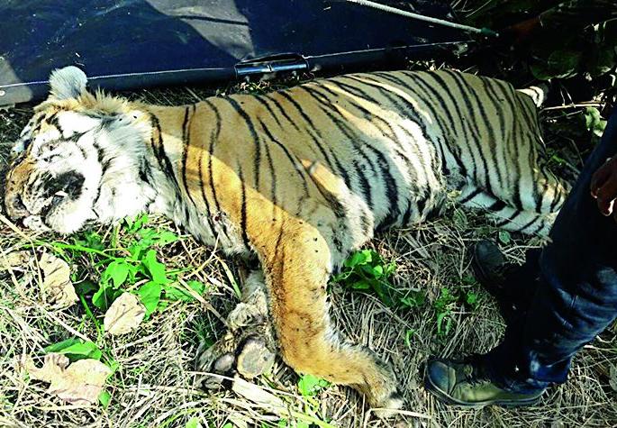 He died due to guidelines of saving life | मार्गदर्शक तत्त्वांनीच घेतला त्याचा जीव He died due to guidelines of saving life | मार्गदर्शक तत्त्वांनीच घेतला त्याचा जीव