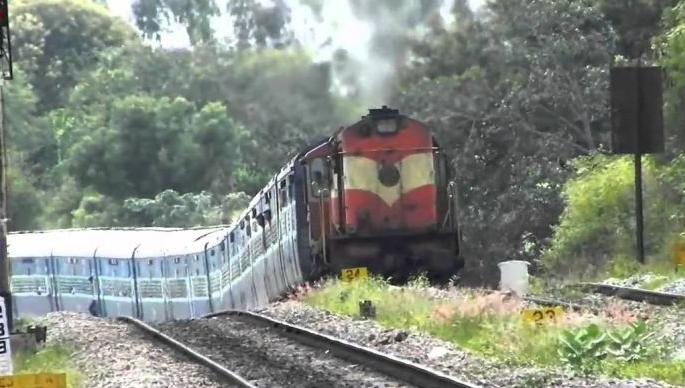 The first hurdle of Wadsa-Gadchiroli railway line is clear | वडसा-गडचिरोली रेल्वेमार्गातील वनविभागाचा पहिला अडथळा दूर