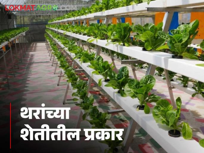Three setups of layer farming in hydroponics system farmer low water use | थरांची हायड्रोपोनिक शेती करताय? हे तीन प्रकार माहिती आहेत का?