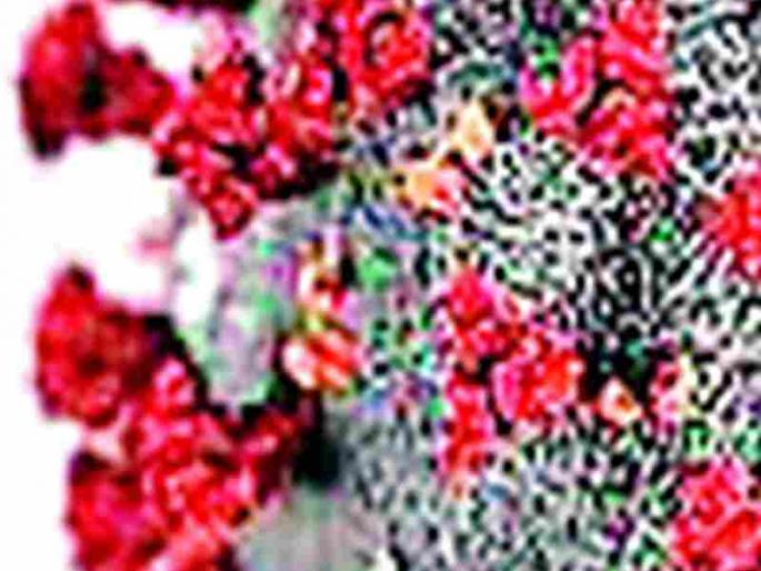 30% patients in the district are in Chandrapur taluka | जिल्ह्यामधील ३० टक्के रुग्ण चंद्रपूर तालुक्यात 30% patients in the district are in Chandrapur taluka | जिल्ह्यामधील ३० टक्के रुग्ण चंद्रपूर तालुक्यात