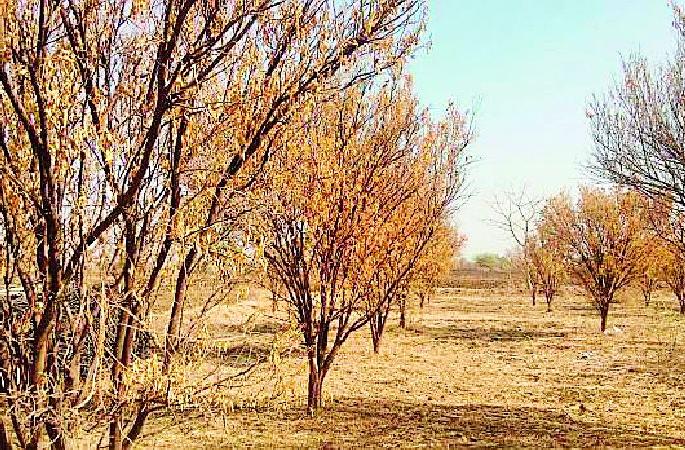 Crisis on 'California' | ‘कॅलिफोर्निया’वर संकट