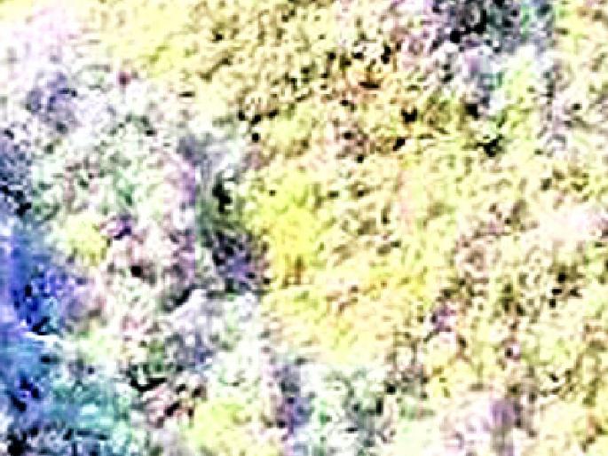 3250 farmers are waiting for the weighing | सव्वातीन हजार शेतकरी मोजणीच्या प्रतीक्षेत