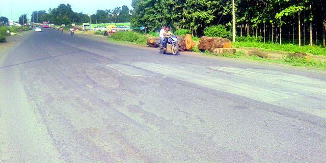 Road is a tree that has been cut for four-dimensional | रस्ता चौपदरीकरणासाठी तोडलेली वृक्षे ठरत आहे जीवघेणी