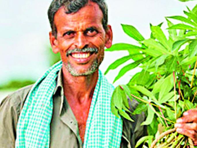 Tonic of Agriculture Sanjivani to 202 villages | २०२ गावांना कृषी संजीवनीचे टॉनिक Tonic of Agriculture Sanjivani to 202 villages | २०२ गावांना कृषी संजीवनीचे टॉनिक