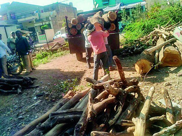 Reclaiming illegal wood in the backyard | परतवाड्यात अवैध लाकूड जप्त Reclaiming illegal wood in the backyard | परतवाड्यात अवैध लाकूड जप्त