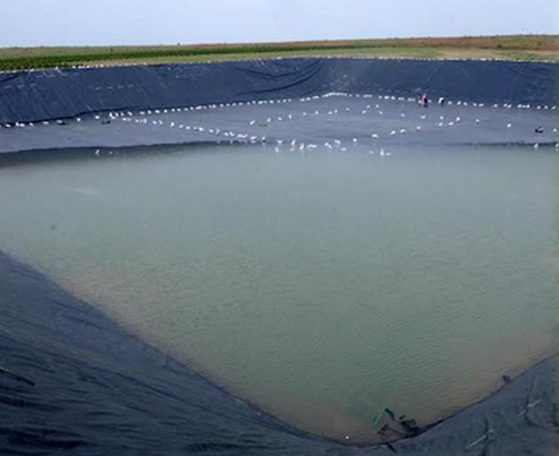 More than the target in Beed district, the farmer has completed | बीड जिल्ह्यात उद्दिष्टापेक्षा अधिक शेततळी पूर्ण More than the target in Beed district, the farmer has completed | बीड जिल्ह्यात उद्दिष्टापेक्षा अधिक शेततळी पूर्ण