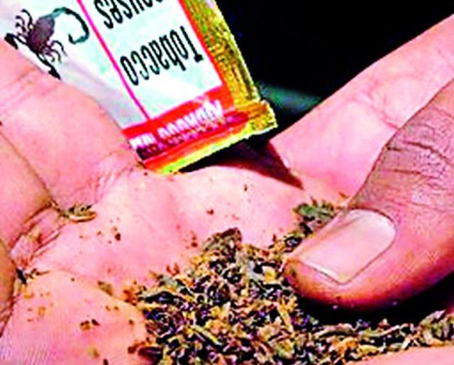 The number of tobacco additives increases in women | महिलांमध्ये वाढतेय तंबाखू सेवानाचे प्रमाण