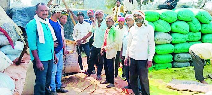 Purchase of 8 lakh quintals of paddy in the district | जिल्ह्यात ८ लाख क्विंटल धान खरेदी Purchase of 8 lakh quintals of paddy in the district | जिल्ह्यात ८ लाख क्विंटल धान खरेदी
