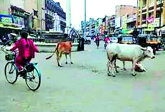 The sidewalk in the city disappeared | शहरातील फुटपाथ बेपत्ता The sidewalk in the city disappeared | शहरातील फुटपाथ बेपत्ता