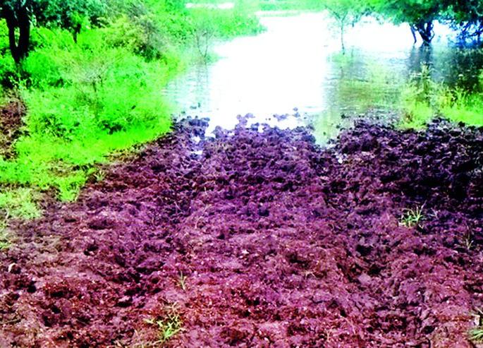 Due to the water of the Goskhurd Dam, the roads are waterlogged | गोसखुर्द धरणाच्या पाण्यामुळे शेती, रस्ते जलमय Due to the water of the Goskhurd Dam, the roads are waterlogged | गोसखुर्द धरणाच्या पाण्यामुळे शेती, रस्ते जलमय