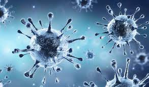 74 new infected patients at Ozark | ओझर येथे नवीन ७४ बाधित रुग्ण