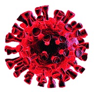 Tens of thousands of antigen tests! | दहा हजारांवर अॅँटिजेन टेस्ट ! Tens of thousands of antigen tests! | दहा हजारांवर अॅँटिजेन टेस्ट !