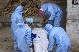 Glory to Coronayoddha at Khamkheda | कोरोनायोद्ध्याचा खामखेडा येथे गौरव Glory to Coronayoddha at Khamkheda | कोरोनायोद्ध्याचा खामखेडा येथे गौरव