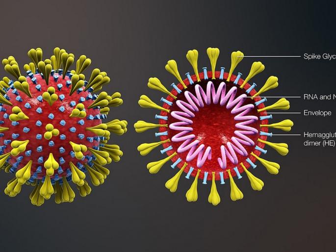 Corona opens account on Pipeline Road, five affected patients each in Dal Mandai, Artillery area of Nagar city | नगर शहरातील दाळ मंडई, तोफखाना भागात प्रत्येकी पाच बाधित रुग्ण, पाईपलाईन रोडवर कोरोनाने खाते उघडले Corona opens account on Pipeline Road, five affected patients each in Dal Mandai, Artillery area of Nagar city | नगर शहरातील दाळ मंडई, तोफखाना भागात प्रत्येकी पाच बाधित रुग्ण, पाईपलाईन रोडवर कोरोनाने खाते उघडले