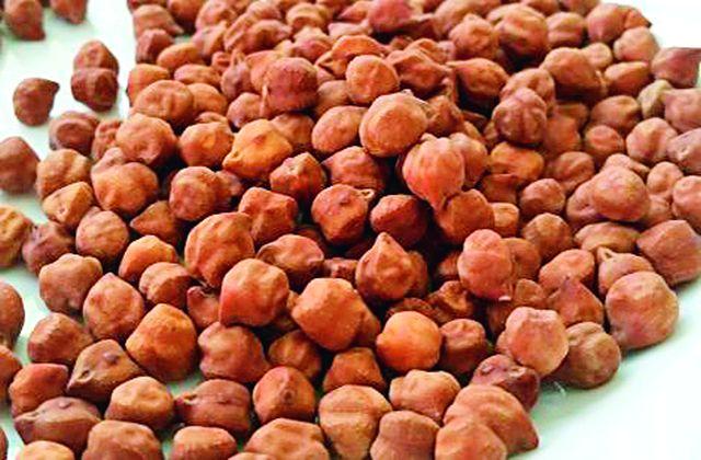 Waiting for farmers to buy Nafed gram | शेतकरी नाफेडच्या चना खरेदीच्या प्रतीक्षेत