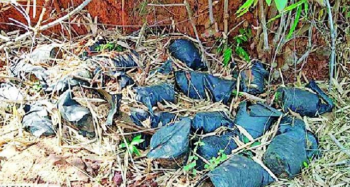 Without planting trees, the sap bags were thrown into the forest | वृक्ष लागवड न करताच रोपांच्या पिशव्या जंगलात फेकल्या Without planting trees, the sap bags were thrown into the forest | वृक्ष लागवड न करताच रोपांच्या पिशव्या जंगलात फेकल्या