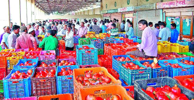 Record rates for pomegranates | डाळिंबाला विक्रमी दर Record rates for pomegranates | डाळिंबाला विक्रमी दर